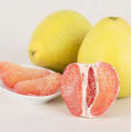 Pomelo New Crop of Fresh Honey Pomelo Wholesale Price From China